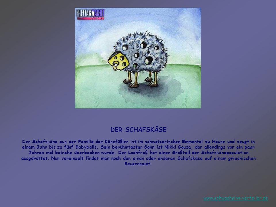 deutsches paar fickt deutsches paar fickt